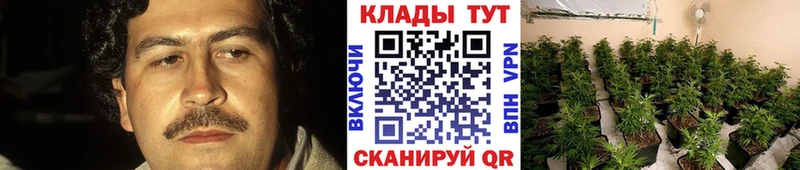 Где продают наркотики Окуловка Каннабис СК Бутират Галлюциногенные грибы Меф ссылка на мегу маркетплейс ГАШ