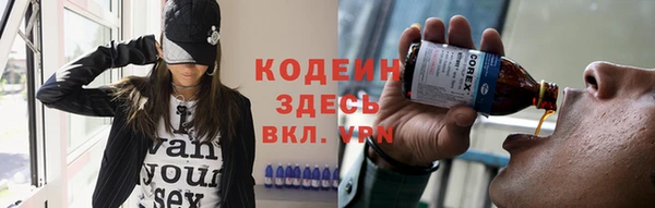дмт Богданович