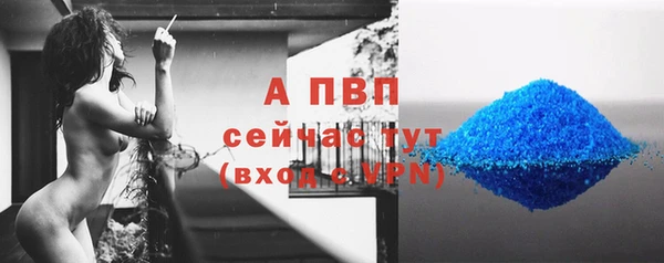 дмт Богданович