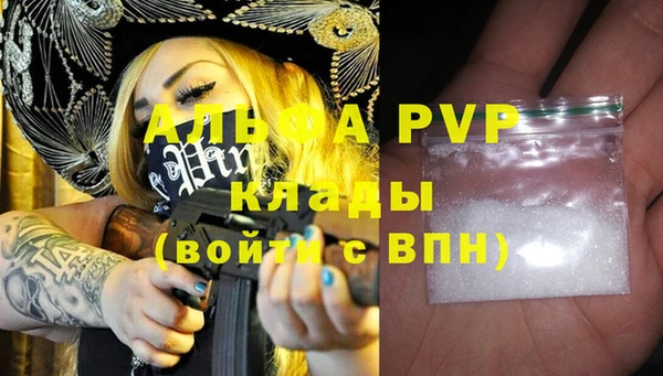 дмт Богданович