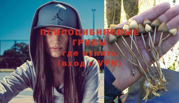 альфа пвп Богородицк